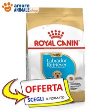 Royal Canin Chien → Puppy
