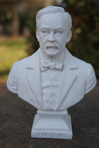 Re0523 figurine buste - figurine, louis