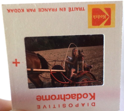 Diapositive agence - diapositive, (slide)