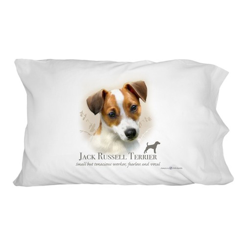 Jack russell terrier - jack, breed