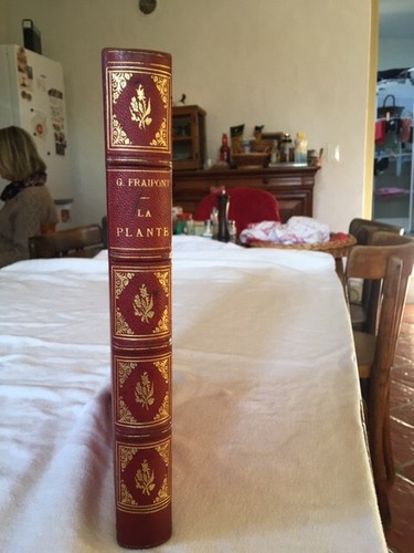 Livre ancien cuir - cuir, fraipont