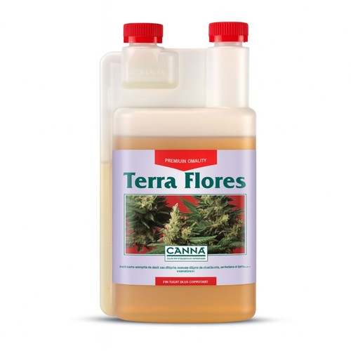 Canna terra flores - phase, de