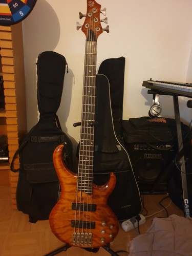Guitare basse cordes ibanez - 5,