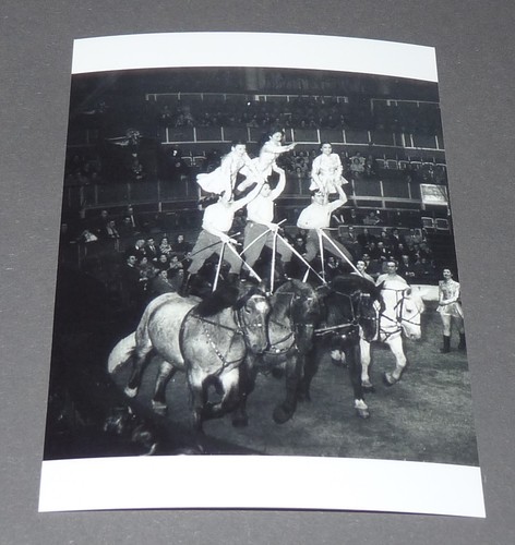 Photo 15x11 cirque freres - 15x11,