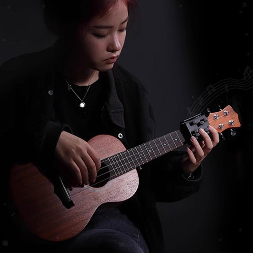 Ukulele train presse pour - train,