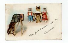 humanized cats. Bellows camera.