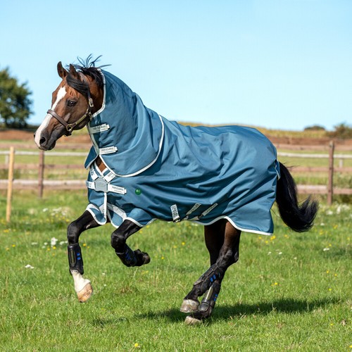Horseware ameco bravo plus - horseware,