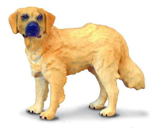 Collecta chien golden - chien,