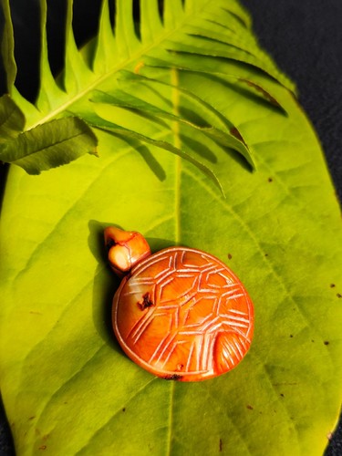 Figurine tortue carpe rouge - figurine,