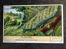 CHROMO LIEBIG SERIE LES