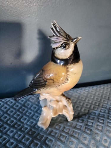 Karl ens vogel bird mésange - ens,