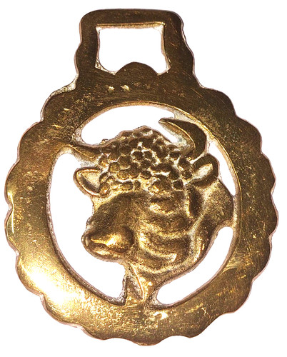 Horse brass médaillon - brass, vintage