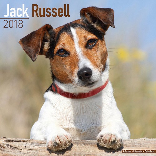 Calendrier 2018 jack - -, russel