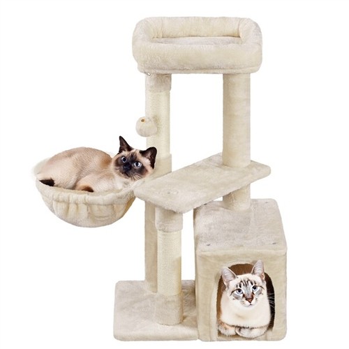 Petit arbre chat - à,