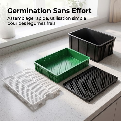Germoir graines pour semis - germoir,