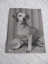 photographie 24 x 18 cm