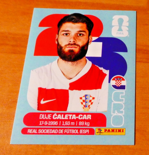 Panini football fifa world cup - football,
