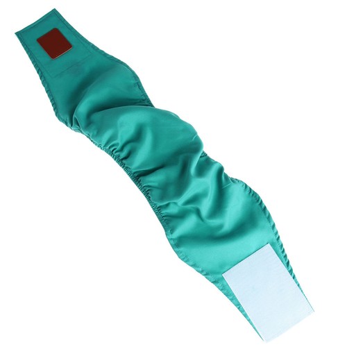 Couche chien femelle - chien,