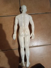 Mannequin D'acupuncture