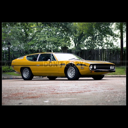 Photo 002548 lamborghini - photo,
