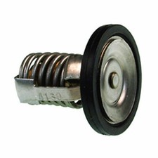 thermostat quicksilver mercury