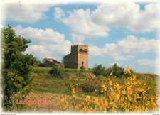 Pigeonniers - Bas Languedoc - Colombophilie - CPM - Voir Scans Recto-Verso