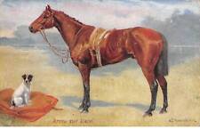 Dogs - No. 82093 - After the Race - Dog sitting on a cushion near an che