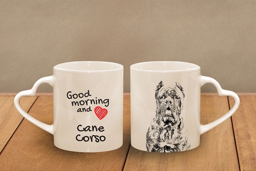 Cane corso une - corso,