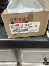 Yamaha TTR110 Genuine Starting