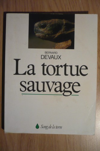 Tortue sauvage des - des, maures