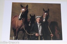 Carte Postale Photo Yann ARTHUS BERTRAND : Cheval Selle français