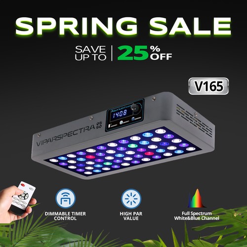 Viparspectra timer control - timer,
