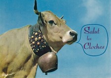 Postcard postcard 10x15cm HUMOROUS ANIMALS cow cow cow hello bells
