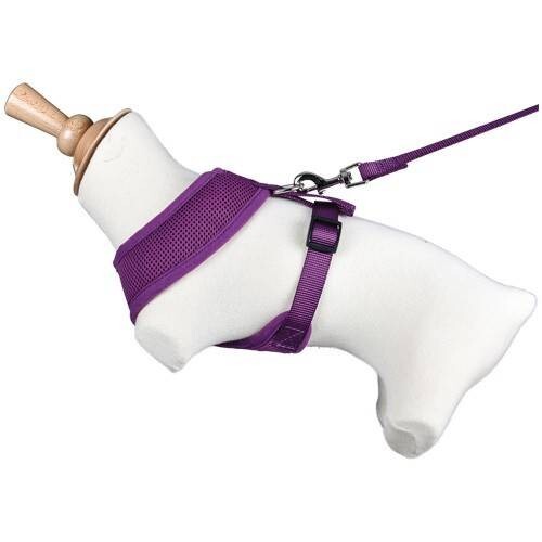 Harnais air mesh - air, pour