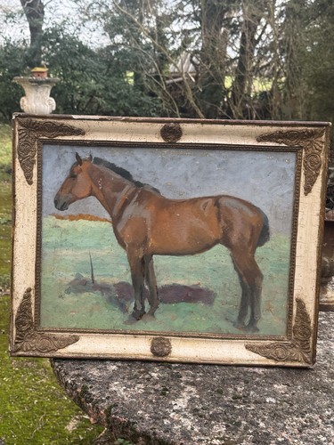 Horse study late 19th - study,