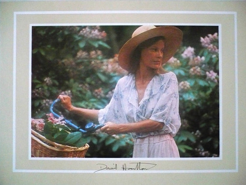 Carte postale double david - carte,