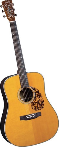 Acoustic guitar dreadnought - guitar,