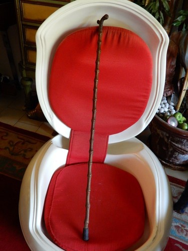 Canne façon bambou cm - canne,