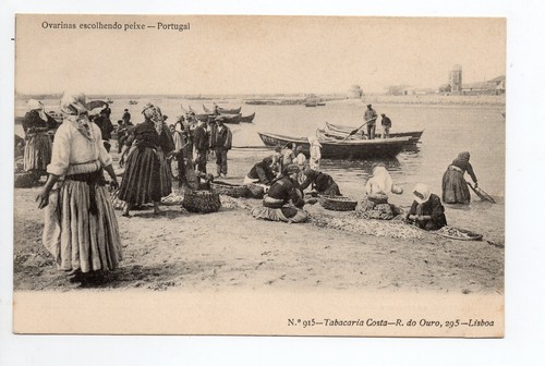 Portugal divers ovarinas - portugal,