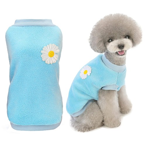 Chien pull - chien, vêtements