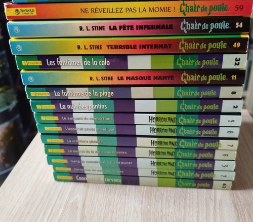 Livre chair poule lot 14 - chair,