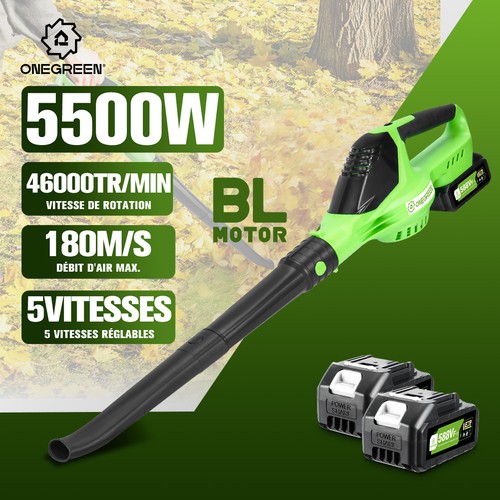 Souffleur feuilles sans fil - de,