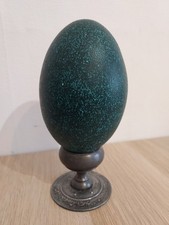 Œuf d’émeu véritable sur