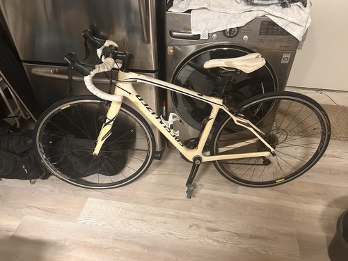 Carbon fiber frame bike