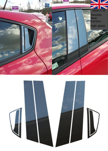 Carbon fibre door - carbon,