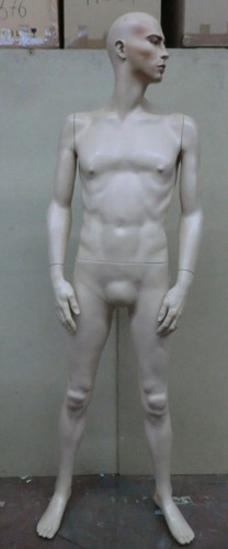 Mannequin display figure male - mannequin,