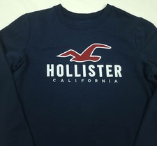 -.. HOMME HOLLISTER TOP SWEAT