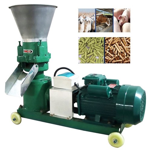 10mm feed pellet - 10mm,