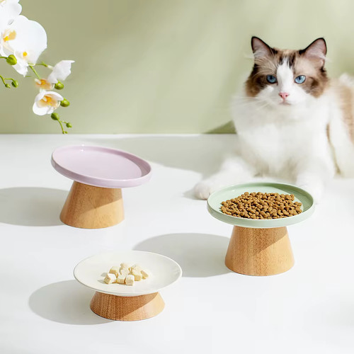 Bol céramique chien chat - chien,