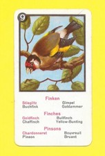 German Card - Finches - Goldfinch